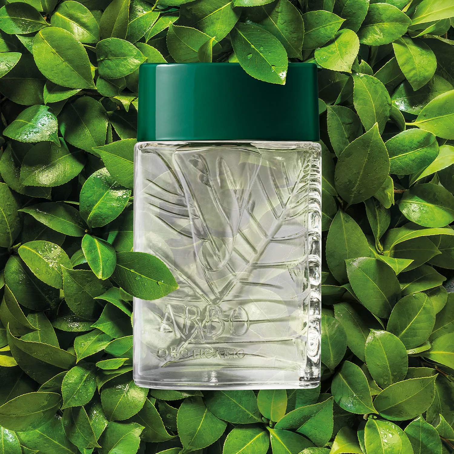 Arbo Desodorante Colônia 100ml 2