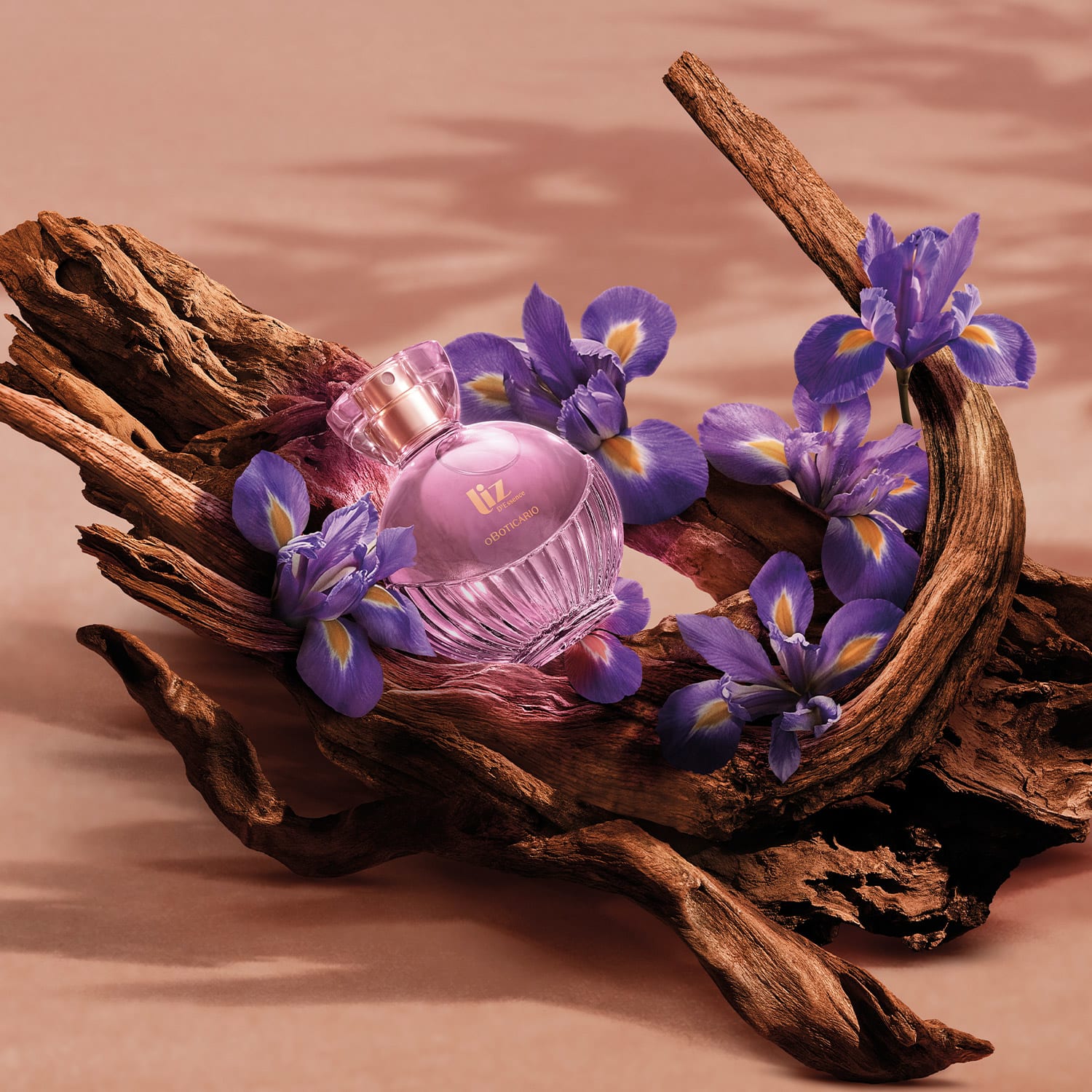 Liz D’Essence Desodorante Colônia 100Ml 3